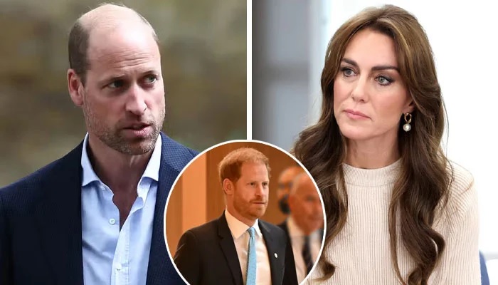 Kate Middleton Stirs New Tension with Prince William Over Secret Meeting with Prince Harry