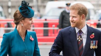 Kate Middleton Reaches Out to Prince Harry for Secret Meeting During UK Visit