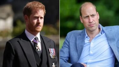 Royal Bodyguard Drops Bombshell Claims About Prince Harry and Prince William