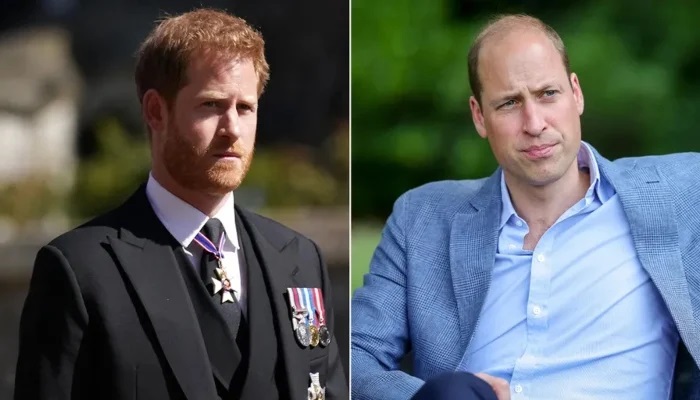 Royal Bodyguard Drops Bombshell Claims About Prince Harry and Prince William