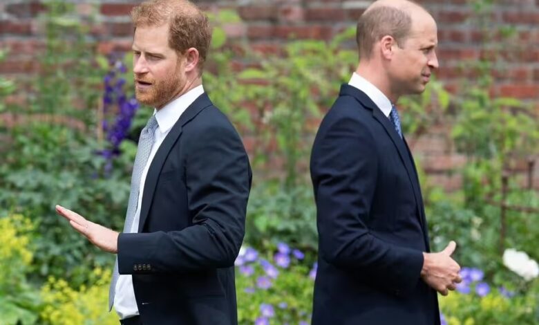 Prince William's Team Accused of 'Stirring the Pot' with Post Before Prince Harry's Speech