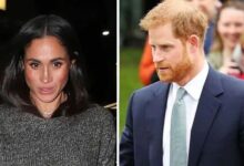 Royal lady responsible for Prince Harry, Meghan Markle's separation named