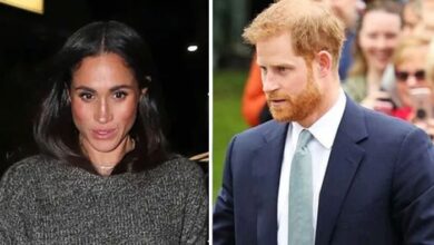 Royal lady responsible for Prince Harry, Meghan Markle's separation named