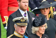 Queen Camilla Reportedly Opposes Prince Harry’s Return Amid Strained Relationship