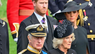 Queen Camilla Reportedly Opposes Prince Harry’s Return Amid Strained Relationship