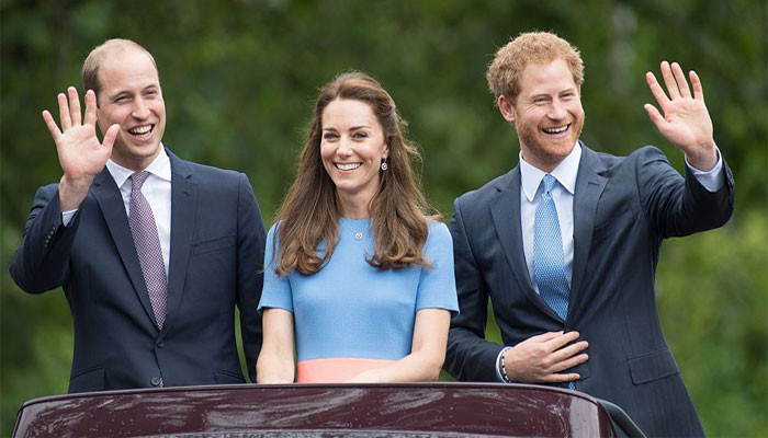 Prince William Breaks Silence Amid Kate Middleton’s Plea to Prince Harry