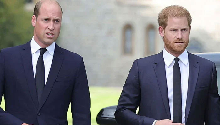 Prince William’s Unexpected Olive Branch to Prince Harry Amid Tension with Meghan Markle