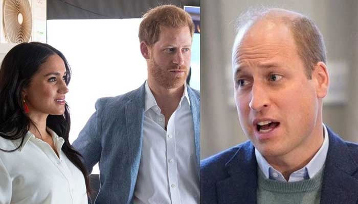 Prince William’s Subtle Snub of Meghan Markle as He Reaches Out to Prince Harry Sparks Rumors