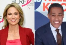 T.J. Holmes pals beg 'controlling' Amy Robach to chill: Source