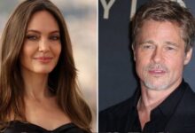 Angelina Jolie Scores Significant Legal Victory in Winery Lawsuit Against Brad Pitt