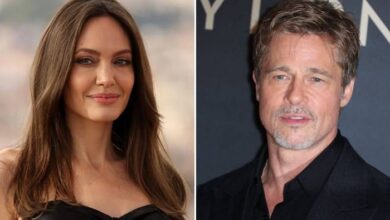 Angelina Jolie Scores Significant Legal Victory in Winery Lawsuit Against Brad Pitt