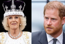 Prince Harry Slammed for Wicked Stepmother Claims Against Queen Camilla