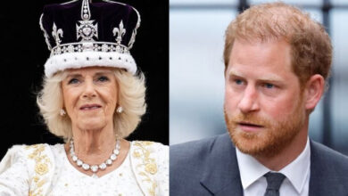 Prince Harry Slammed for Wicked Stepmother Claims Against Queen Camilla