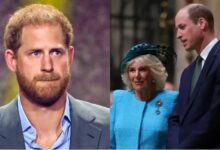 Prince Harry Reduced to Tears by Queen Camilla and Prince William’s New Decision