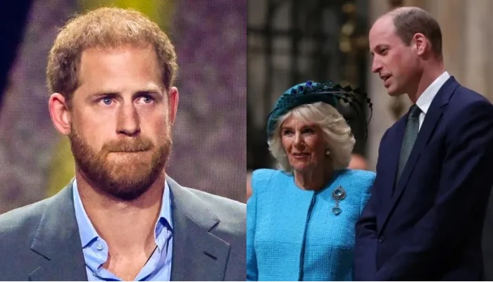 Prince Harry Reduced to Tears by Queen Camilla and Prince William’s New Decision