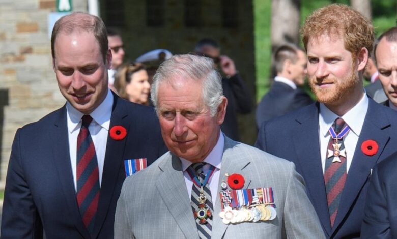 Royal Family Makes Final Call on Reconciliation with Prince Harry Amid Ongoing Rift