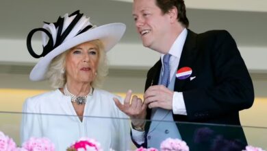 Queen Camilla's Son Opens Up About 'Barbaric' Treatment of Prince William and Harry in New Chat