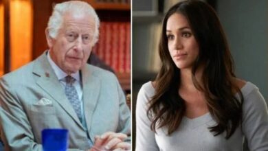 King Charles Faces Stark Warning as Meghan Markle Embarks on Bold New Ventures