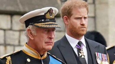 Prince Harry Faces Royal Rejection Amid LA Crisis