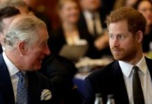 Prince Harry Stunned as King Charles and Prince William Plan Bold US Move