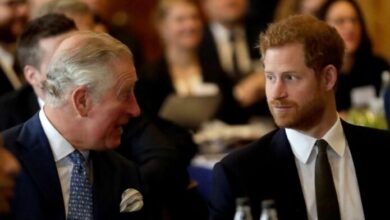 Prince Harry Stunned as King Charles and Prince William Plan Bold US Move