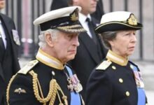 King Charles Stunned by Princess Anne’s Shocking Health Update