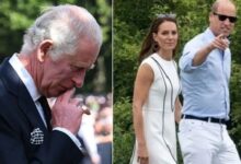 Kate Middleton and Prince William Break Silence After King Charles Bombshell Speech