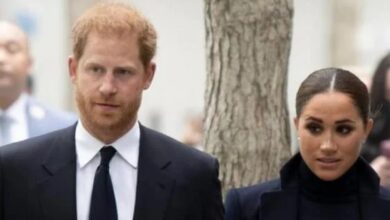 Prince Harry and Meghan Markle Respond to Shocking Disaster Tourist Accusations Following LA Wildfire