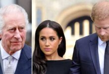 King Charles Bold Move Planning to Rival Prince Harry and Meghan Markle