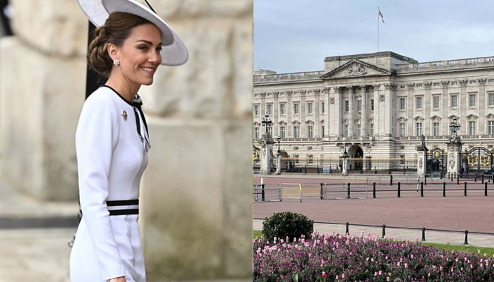 Buckingham Palace Makes Big Announcement Amid Kate Middleton's Major Health Update