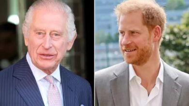 King Charles Can't Meet Prince Archie and Princess Lilibet Without Security Deal With Prince Harry