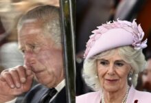 Queen Camilla’s Struggles Exposed as King Charles Health Crisis Takes a Toll