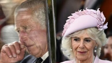 Queen Camilla’s Struggles Exposed as King Charles Health Crisis Takes a Toll