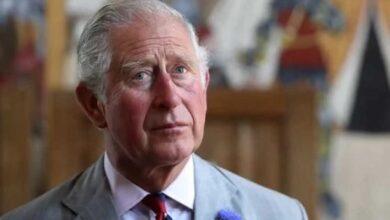 Buckingham Palace Issues Heartbreaking Update on King Charles Amid Cancer Battle