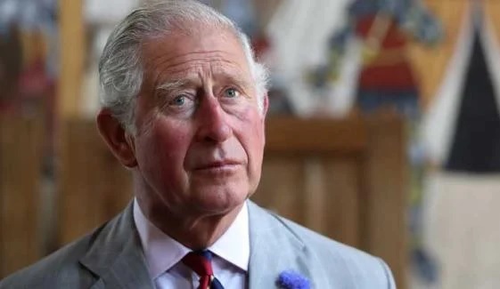 Buckingham Palace Issues Heartbreaking Update on King Charles Amid Cancer Battle