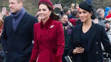 Prince William Breaks Silence Amid Meghan Markle’s Reported Plea to Kate Middleton