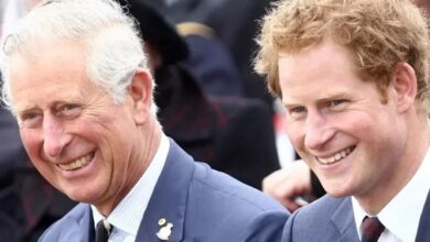 Prince Harry Breaks Silence and Makes Shocking Revelation About Royal Life