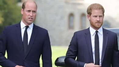 Prince William Under Fire As Shocking Leaked Text to Prince Harry Resurfaces