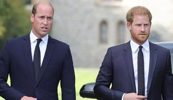 Prince William Under Fire As Shocking Leaked Text to Prince Harry Resurfaces