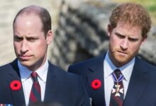 Former Royal Aide Jason Knauf Speaks on Shocking Rift Between Prince William and Princes Harry