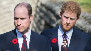 Former Royal Aide Jason Knauf Speaks on Shocking Rift Between Prince William and Princes Harry