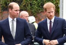 Prince William’s Surprise Visit Sparks Fresh Speculation Over Secret Meeting with Prince Harry