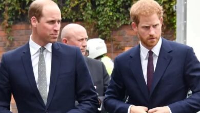 Prince William’s Surprise Visit Sparks Fresh Speculation Over Secret Meeting with Prince Harry