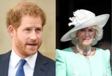 Queen Camilla Under Fire Again as Prince Harry’s Explosive Claims Resurface