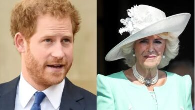 Queen Camilla Under Fire Again as Prince Harry’s Explosive Claims Resurface