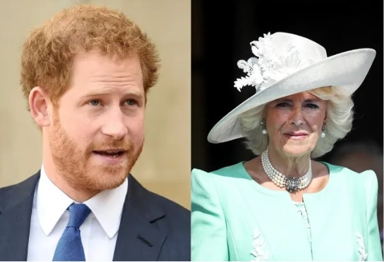 Queen Camilla Under Fire Again as Prince Harry’s Explosive Claims Resurface