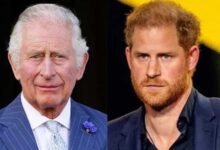 King Charles Shocking Response to Pleas for Prince Harry’s Return