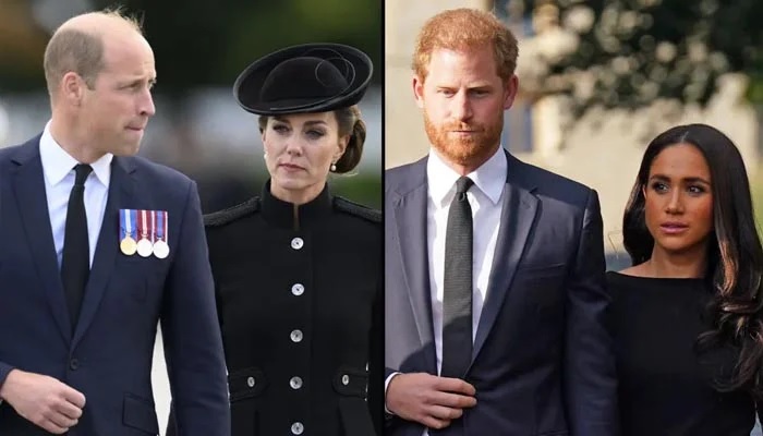 Kate Middleton’s Secret Role in Prince William’s Battle Against Prince Harry and Meghan Markle Attacks