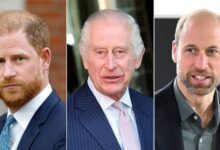 King Charles Publicly Snubs Prince Harry After Emotional Plea Names Prince William His True Heir