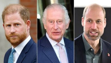 King Charles Publicly Snubs Prince Harry After Emotional Plea Names Prince William His True Heir